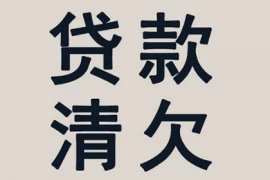 一年催收：平安普惠的困境与出路